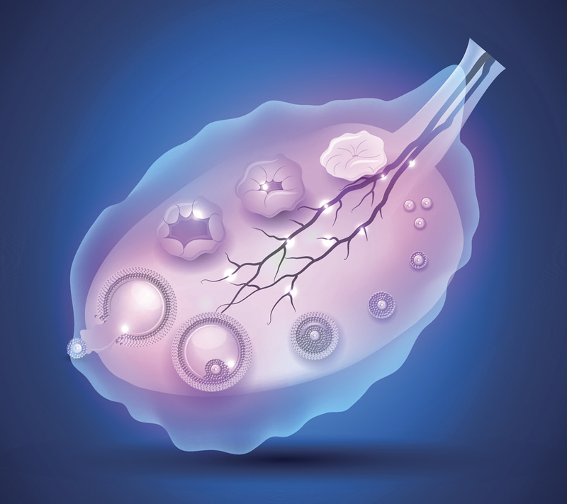 广西助孕试管费用透明化-三代技术-冻胚移植-降调方案成本对比!